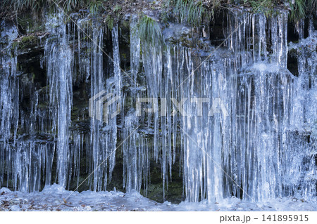 三十槌の氷柱 三十槌の氷柱 141895915