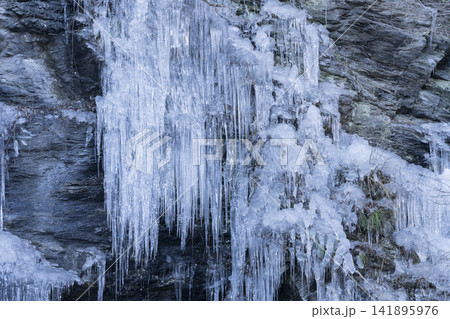 三十槌の氷柱 141895976