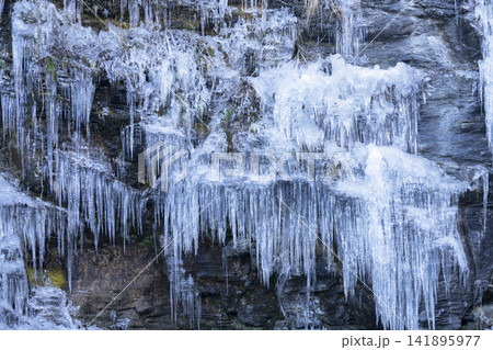 三十槌の氷柱 141895977