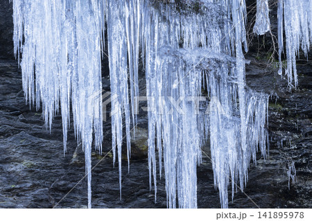 三十槌の氷柱 三十槌の氷柱 141895978