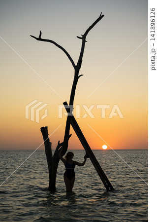 Silhouette of a woman standing in the ocean next to a dead tree against sunset sky. Vertical photo of a female in swimwear enjoying a summer sea vacation getaway Silhouette of a woman standing in the ocean next to a dead tree against sunset sky. Vertical photo of a female in swimwear enjoying a summer sea vacation getaway 141896126