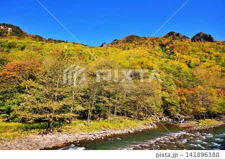 層雲峡の紅葉 (北海道上川郡上川町) 層雲峡の紅葉 (北海道上川郡上川町) 141896388