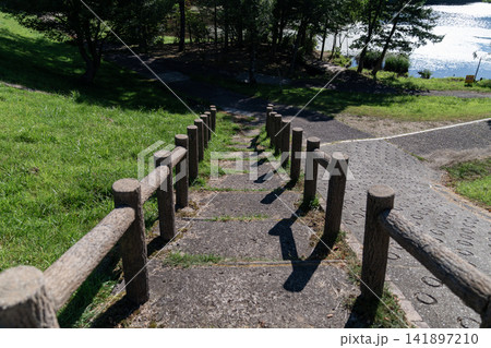 遊歩道 階段 湖畔 公園 森林 散策路 自然 水辺 新緑 ハイキング 風景 141897210