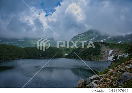夏のみくりが池より立山を望む 夏のみくりが池より立山を望む 141897665