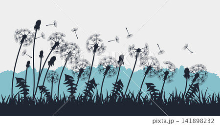 Silhouette Dandelion Meadow with Floating Seeds Nature Background. Vector Illustration 141898232