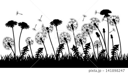 Black Dandelion Meadow Silhouette Vector Isolated on White Background Black Dandelion Meadow Silhouette Vector Isolated on White Background 141898247
