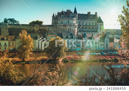 Royal Chateau in Amboise - castle in Loire valley 141898450