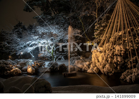 雪の兼六園と雪吊りライトアップ 雪の兼六園と雪吊りライトアップ 141899009