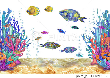 Colorful watercolor coral reef scene with tropical fish, vibrant corals and underwater plants. Hand painted marine composition with copy space for banners, backgrounds, invitations, posters Colorful watercolor coral reef scene with tropical fish, vibrant corals and underwater plants. Hand painted marine composition with copy space for banners, backgrounds, invitations, posters 141899697