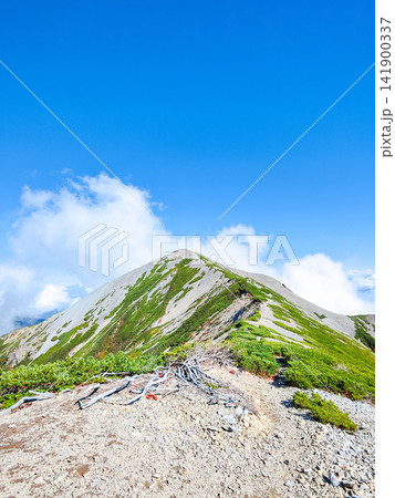 秋の針ノ木岳・蓮華岳登山(針ノ木峠~蓮華岳山頂) 秋の針ノ木岳・蓮華岳登山(針ノ木峠~蓮華岳山頂) 141900337