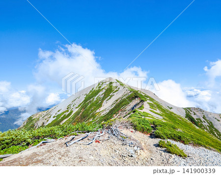 秋の針ノ木岳・蓮華岳登山（針ノ木峠～蓮華岳山頂） 141900339