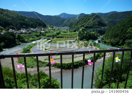 あらぎ島の棚だ あらぎ島の棚だ 141900456