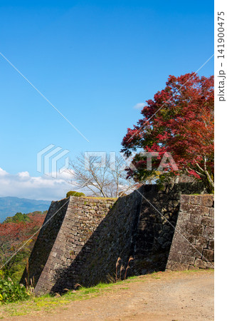 岡城跡の石垣と紅葉 141900475