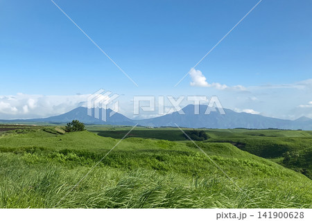 新緑の瀬の本高原と阿蘇山 新緑の瀬の本高原と阿蘇山 141900628