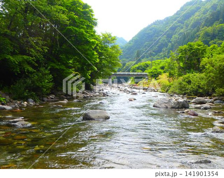 澄んだ水と山の息吹 ― 小八賀川の夏景 141901354