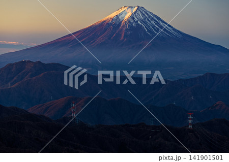 大菩薩嶺から見る朝焼けの富士山 141901501