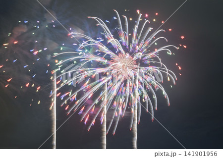 夏の花火大会 夏の花火大会 141901956