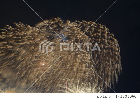 夏の花火大会 夏の花火大会 141901966