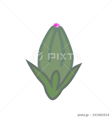 濃いピンクのダイアンサスのイラスト 濃いピンクのダイアンサスのイラスト 141902014