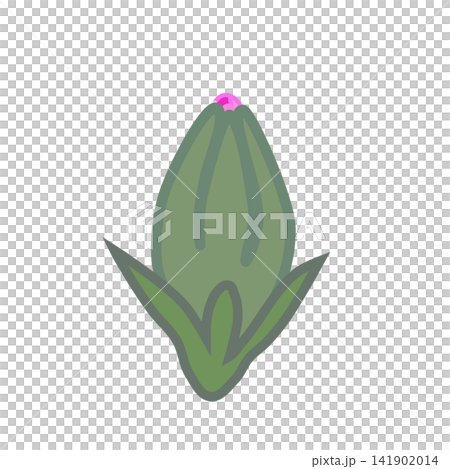 Illustration of a dark pink dianthus. Illustration of a dark pink dianthus. 141902014