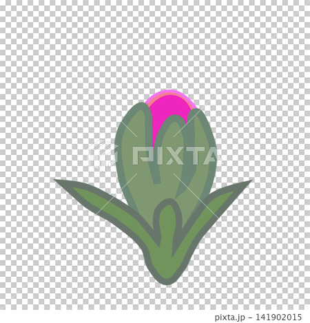 Illustration of a dark pink dianthus. Illustration of a dark pink dianthus. 141902015