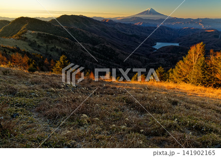 大菩薩嶺稜線から見る早朝の富士山 大菩薩嶺稜線から見る早朝の富士山 141902165