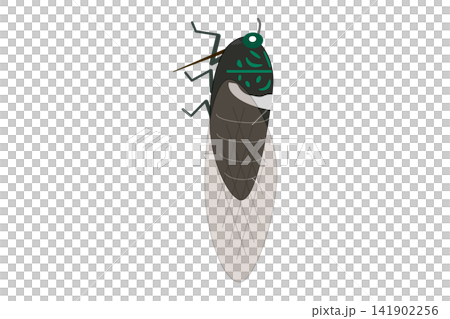 An illustration of a cicada seen from the side. An illustration of a cicada seen from the side. 141902256