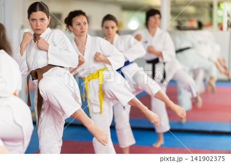 Group of women training karate techniques in studio Group of women training karate techniques in studio 141902375
