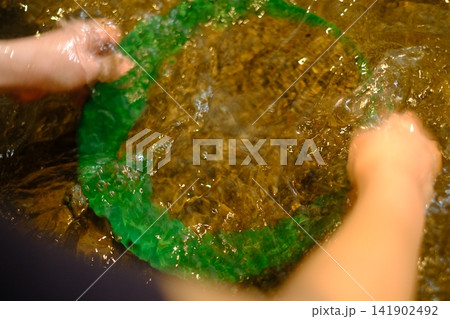 世界文化遺産に登録された佐渡で砂金とりを体験する小学生の手 世界文化遺産に登録された佐渡で砂金とりを体験する小学生の手 141902492
