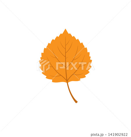 Orange autumn leaf vector illustration Orange autumn leaf vector illustration 141902922
