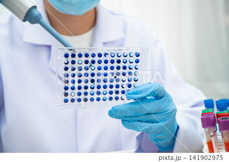 Scientist with cell culture in sample micro plate for research in science laboratory. 141902975