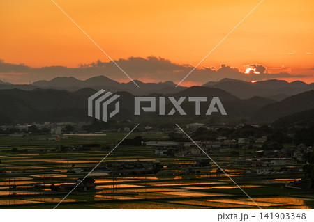 黄金色に輝く夕陽に照らされる亀岡盆地の水田 黄金色に輝く夕陽に照らされる亀岡盆地の水田 141903348