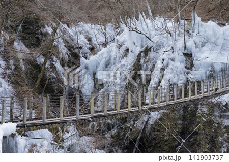 尾ノ内渓谷の氷柱 141903737