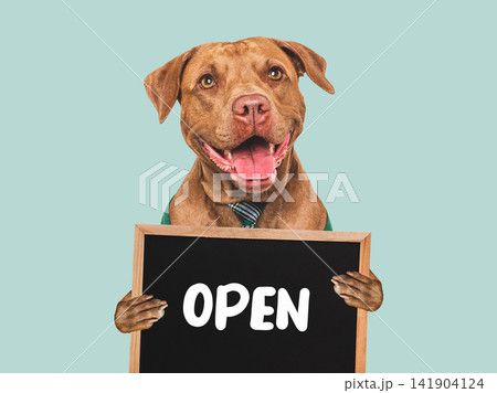Cute dog and signboard with inscription OPEN Cute dog and signboard with inscription OPEN 141904124