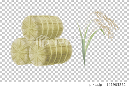 Watercolor illustration of rice bales and rice stalks Watercolor illustration of rice bales and rice stalks 141905282