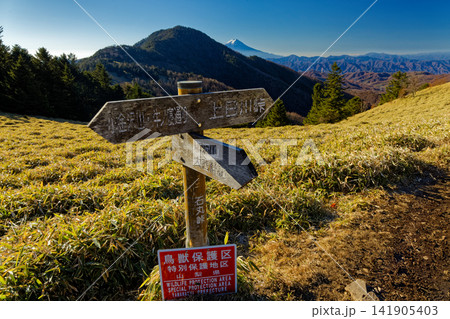 晩秋の大菩薩連嶺・石丸峠から見る富士山と小金沢山 晩秋の大菩薩連嶺・石丸峠から見る富士山と小金沢山 141905403