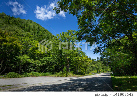 飛騨せせらぎ街道・盛夏　岐阜県高山市清見町 141905542