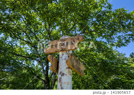 飛騨せせらぎ街道・盛夏　岐阜県高山市清見町 141905657
