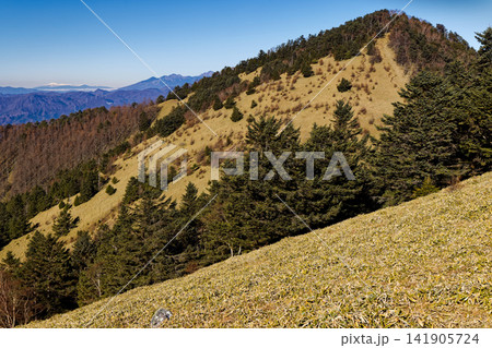 大菩薩連嶺・天狗棚山から見る熊沢山と八ヶ岳・乗鞍岳 大菩薩連嶺・天狗棚山から見る熊沢山と八ヶ岳・乗鞍岳 141905724