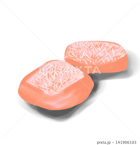 Indian Cham Cham Sweet Bengali Mithai Vector Illustration 141906183