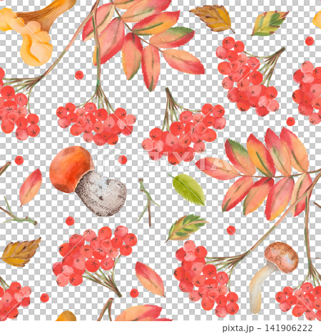 Watercolor autumn pattern with rowan berries, leaves and wild mushrooms Watercolor autumn pattern with rowan berries, leaves and wild mushrooms 141906222