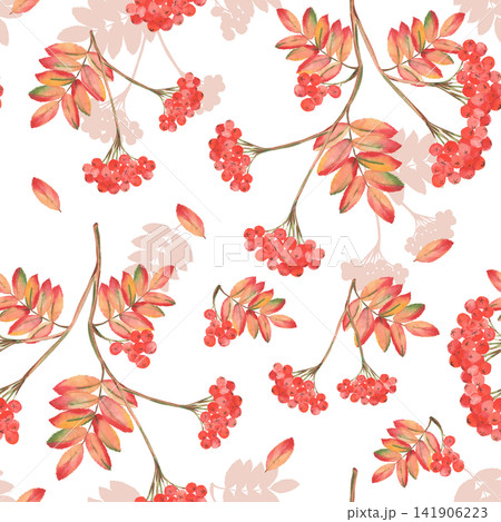 Watercolor rowan berry seamless pattern with colorful autumn foliage Watercolor rowan berry seamless pattern with colorful autumn foliage 141906223