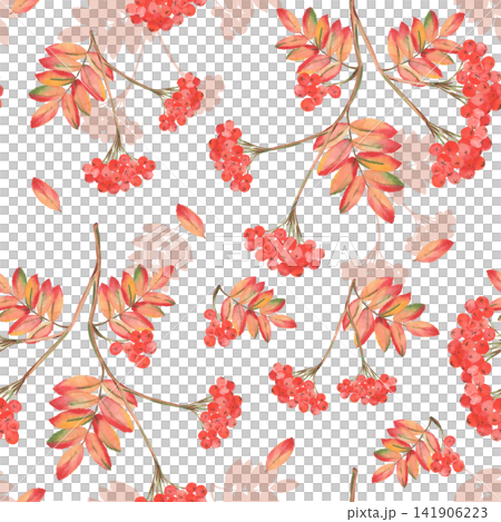 Watercolor rowan berry seamless pattern with colorful autumn foliage Watercolor rowan berry seamless pattern with colorful autumn foliage 141906223