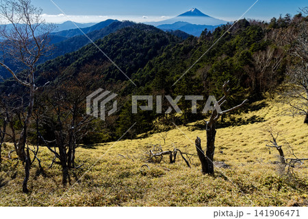 晩秋の大菩薩連嶺・小金沢山から見る富士山 141906471