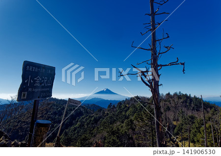 晩秋の大菩薩連嶺・小金沢山から見る富士山 141906530