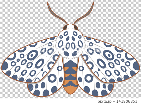 Giant leopard moth illustration displaying distinctive blue spotted pattern Giant leopard moth illustration displaying distinctive blue spotted pattern 141906853