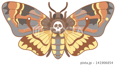 Mystical deaths head hawkmoth illustration with iconic skull pattern art Mystical deaths head hawkmoth illustration with iconic skull pattern art 141906854