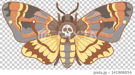 Mystical deaths head hawkmoth illustration with iconic skull pattern art Mystical deaths head hawkmoth illustration with iconic skull pattern art 141906854