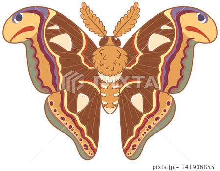 Majestic atlas moth illustration showing snake head wing tips pattern Majestic atlas moth illustration showing snake head wing tips pattern 141906855