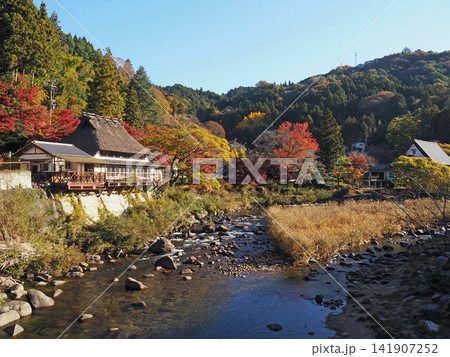 香嵐渓 紅葉 つり橋(香嵐橋)からの景色 香嵐渓 紅葉 つり橋(香嵐橋)からの景色 141907252